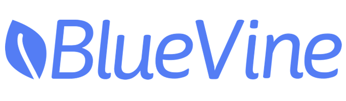 BlueVine Business Checking